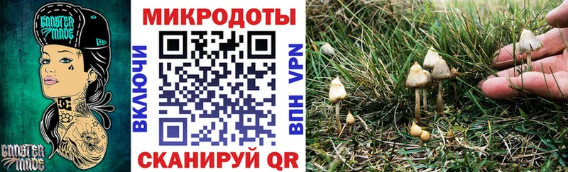 Галлюциногенные грибы Cubensis  Тайшет 