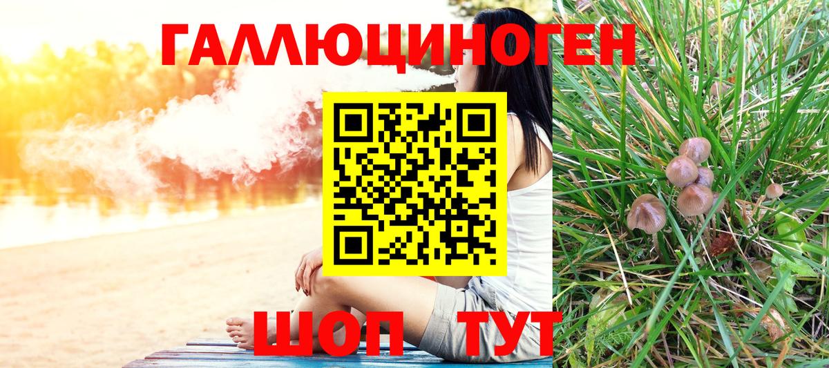 Псилоцибиновые грибы MAGIC MUSHROOMS  Вход с VPN  Тайшет  Галлюциногенные грибы GOLDEN TEACHER 