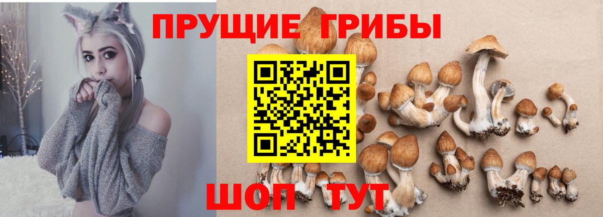 Галлюциногенные грибы ЛСД Тайшет